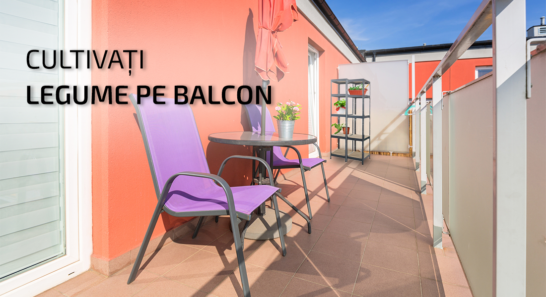 Legume cultivate pe balcon